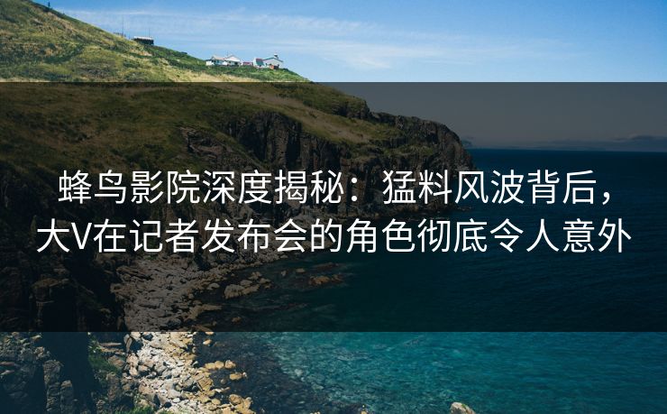 蜂鸟影院深度揭秘：猛料风波背后，大V在记者发布会的角色彻底令人意外
