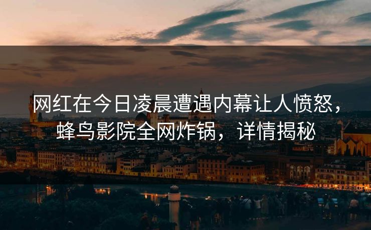 网红在今日凌晨遭遇内幕让人愤怒，蜂鸟影院全网炸锅，详情揭秘