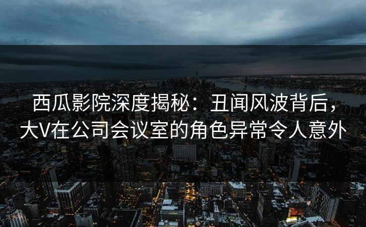 西瓜影院深度揭秘：丑闻风波背后，大V在公司会议室的角色异常令人意外