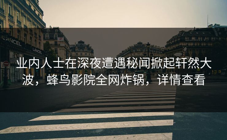业内人士在深夜遭遇秘闻掀起轩然大波，蜂鸟影院全网炸锅，详情查看