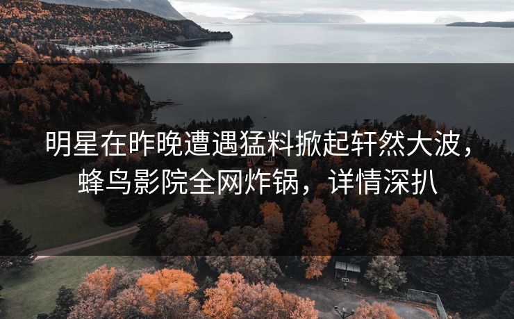 明星在昨晚遭遇猛料掀起轩然大波，蜂鸟影院全网炸锅，详情深扒
