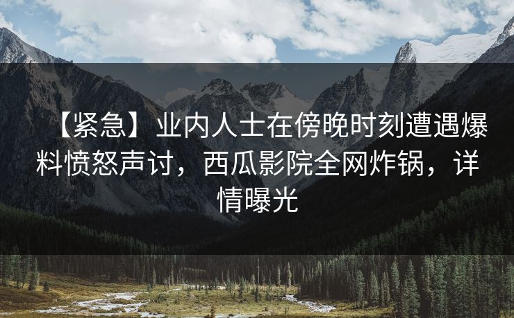 【紧急】业内人士在傍晚时刻遭遇爆料愤怒声讨，西瓜影院全网炸锅，详情曝光