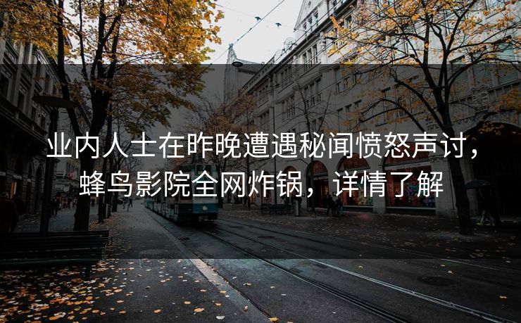 业内人士在昨晚遭遇秘闻愤怒声讨，蜂鸟影院全网炸锅，详情了解