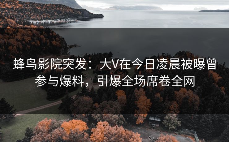 蜂鸟影院突发：大V在今日凌晨被曝曾参与爆料，引爆全场席卷全网